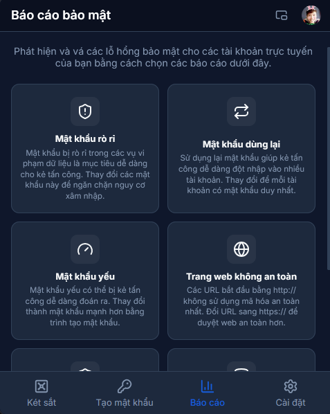 Giao diện Báo cáo bảo mật Vault Audit